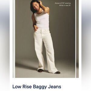 Parke White Low Rise Baggy Jeans